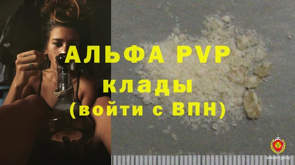 СК Абинск