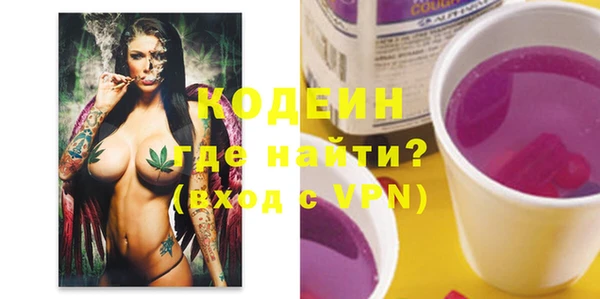 спиды Пересвет