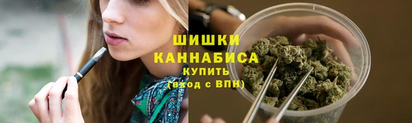стаф Болхов