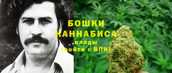 спиды Пересвет